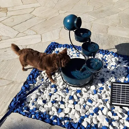 Vallentin Gbr Apartamento Schaprode